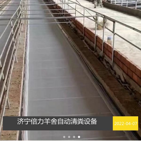 羊舍自動清糞設備